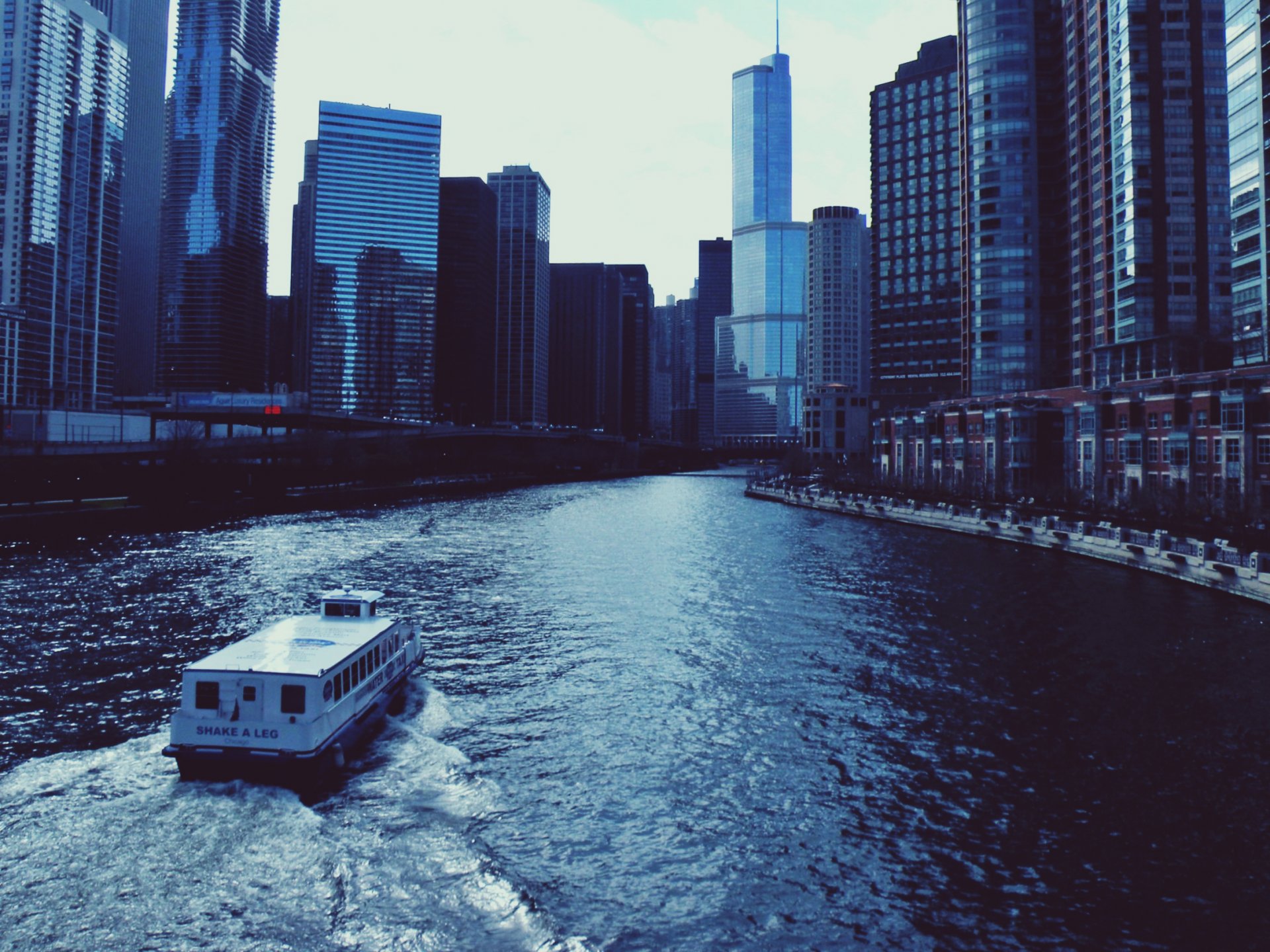 centro illinois chicago stati uniti grattacieli fiume battello a vapore grattacieli