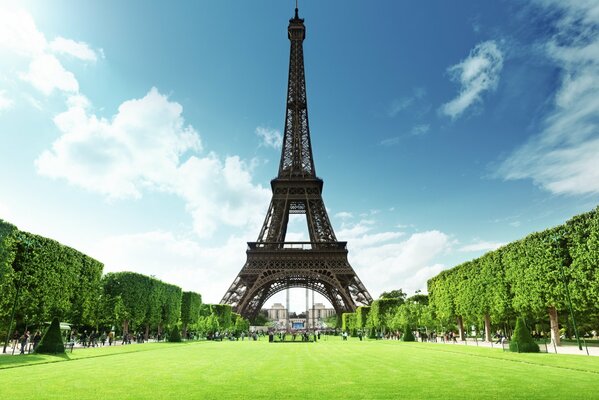 La torre Eiffel y el césped verde