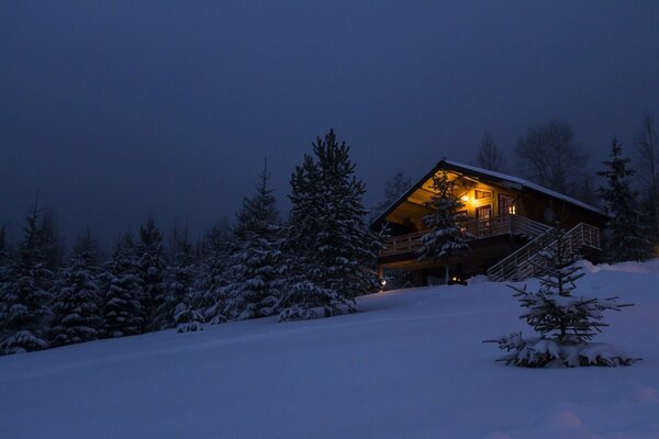 El romance de una noche de invierno en el bosque