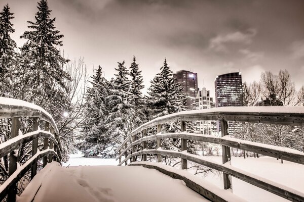 Parco innevato della città notturna