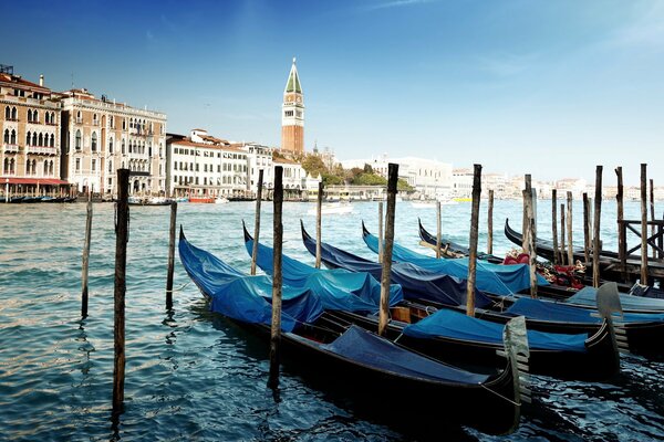 Gondoles. Canal de Venise. Italie