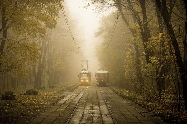 Miejski tramwaj w gęstej mgle