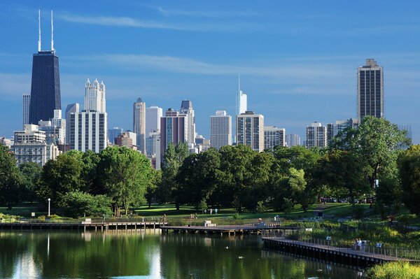 Chicago skyscrapers against the background of green trees