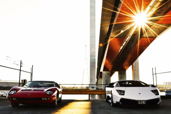 White and red sports cars