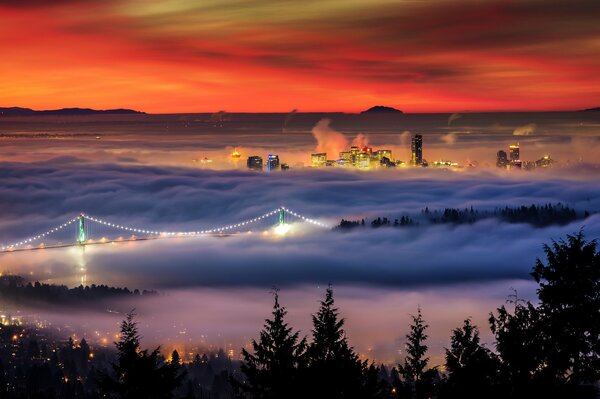 The city in the valley in the fog evening lights