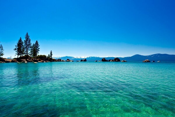 Lagon bleu dans la forêt de Californie