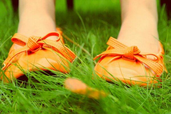 Belles chaussures jaunes sur l herbe verte