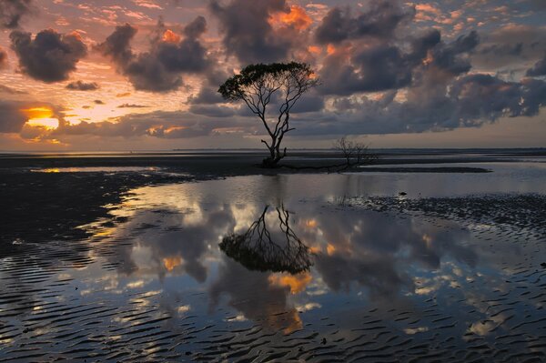 Hermosa Queensland en el reflejo Celestial