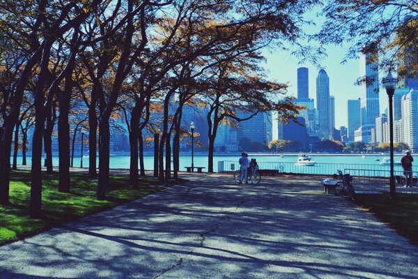 People walk in a park in Chicago