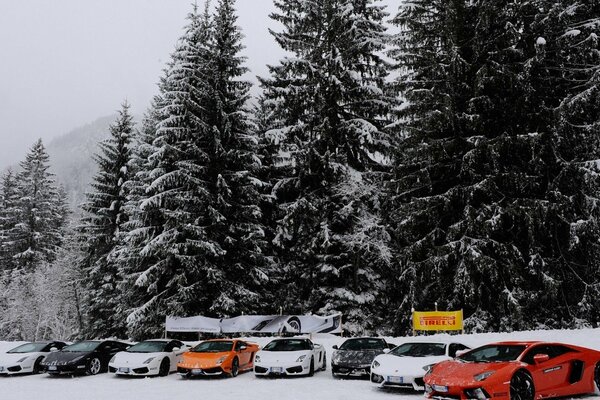 Sportwagen auf dem Hintergrund von hohen Tannen, die mit Schnee bedeckt sind