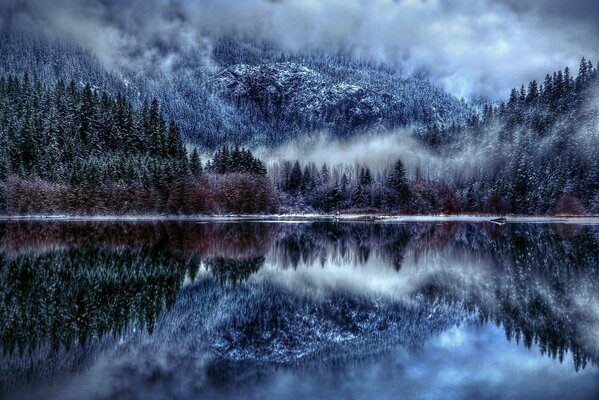 Reflejo del Fabuloso bosque cubierto de nieve en las montañas