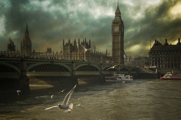 Seagulls over the foggy Thames in London