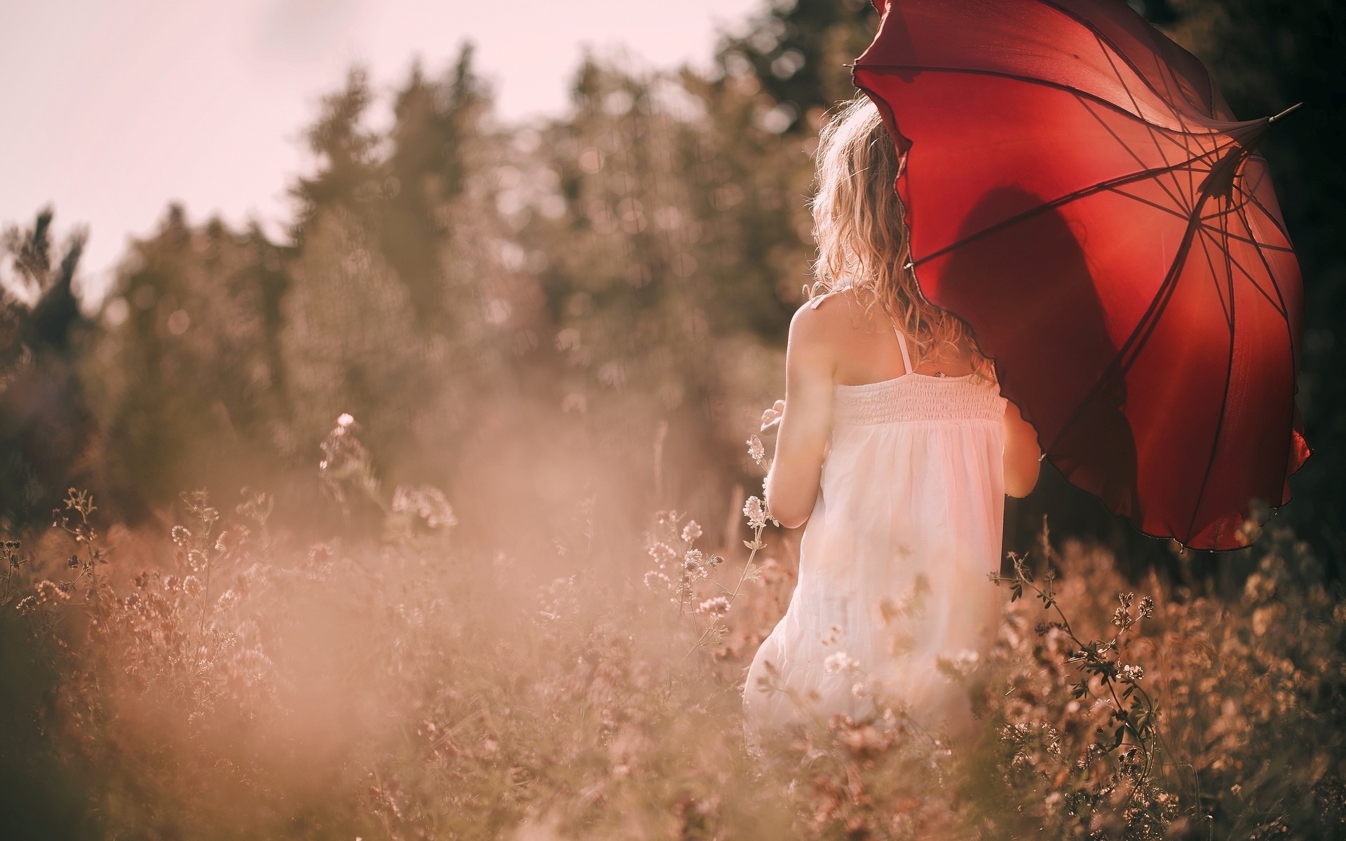 widescreen full screen mood nature background girl . blue hair flower wallpaper sun plants umbrella the field red