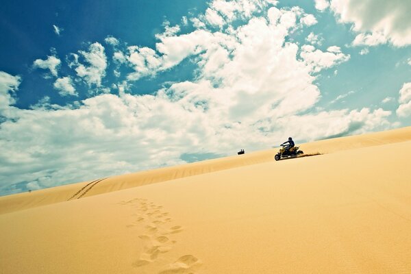 Un affascinante viaggio nel deserto caldo