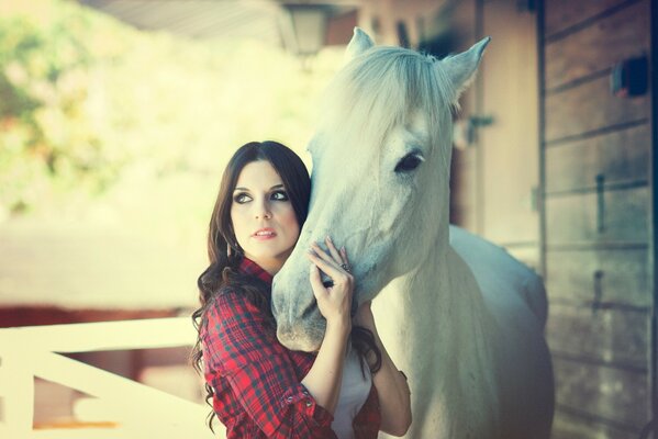 The girl holds the muzzle of a white horse