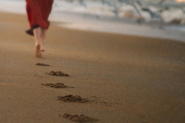 Course libre sur la plage de sable