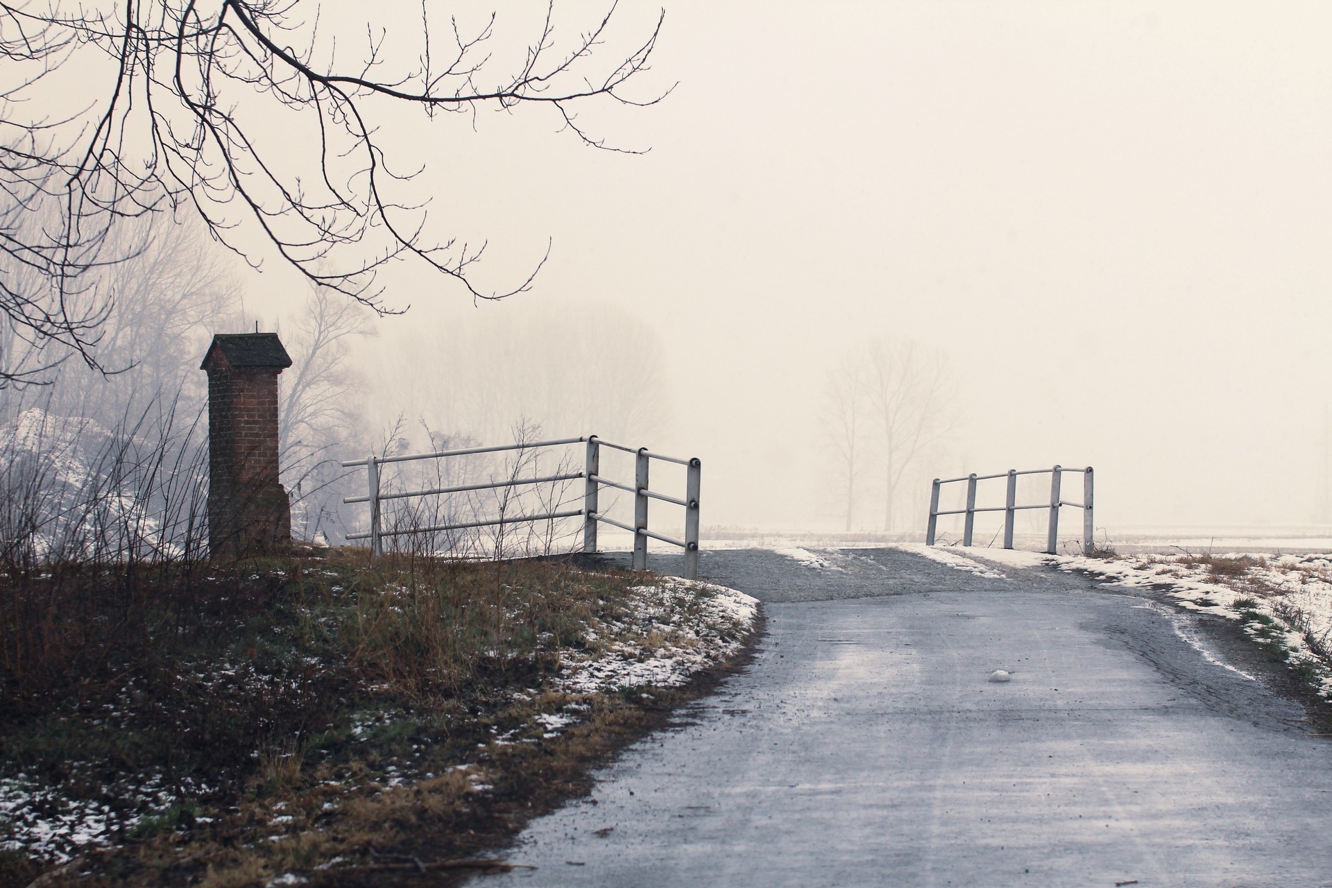 invierno niebla paisaje árbol carretera