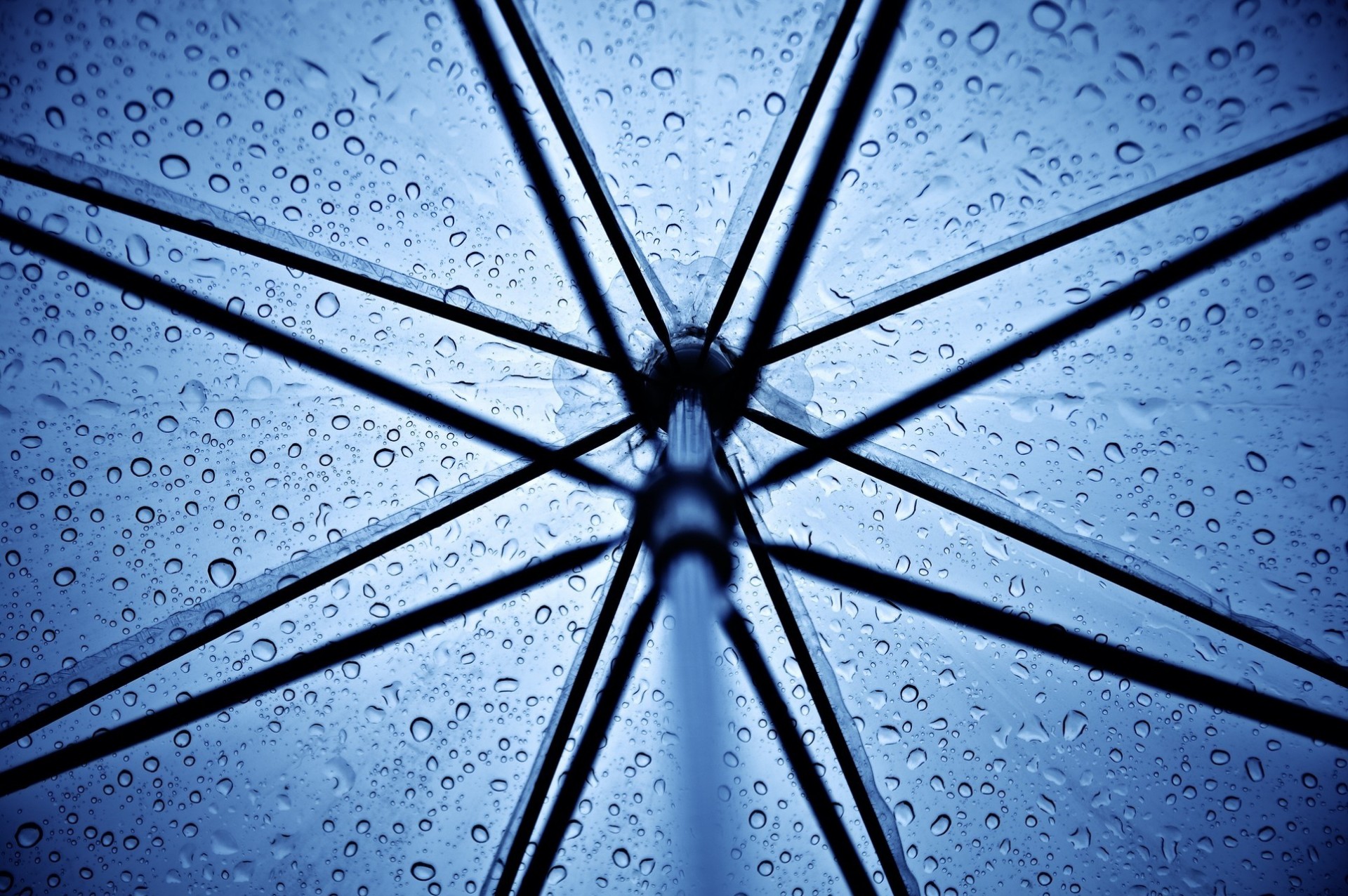 pentax rain umbrella falls blue