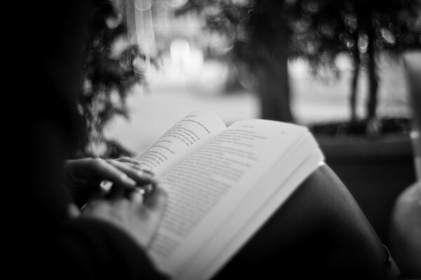 Foto in stile bianco e nero con un Libro spiegato