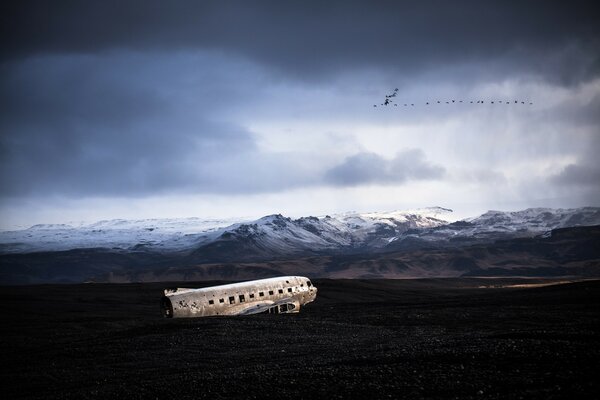 A school of birds in a cloudy sky and a broken airplane on the ground