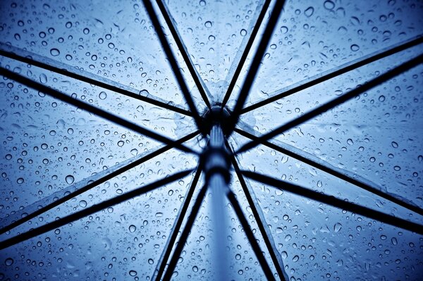 Raindrops on the umbrella dome