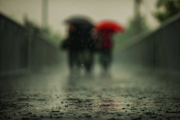 Personas con paraguas en la lluvia en el fondo