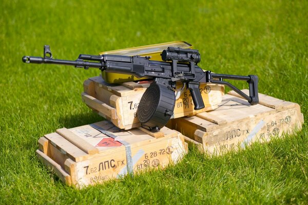 Weapons boar with boxes in the grass