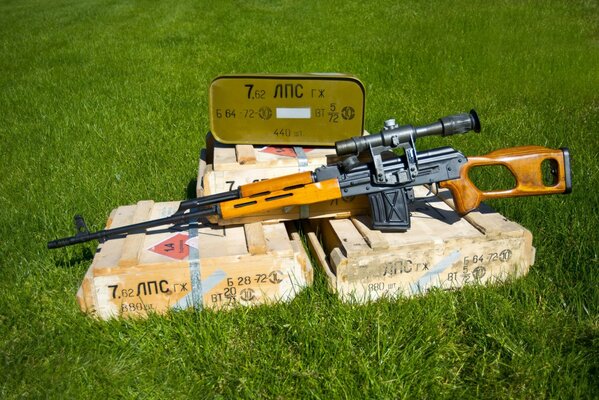 Dragunov, sniper rifle. Weapons on the background of grass