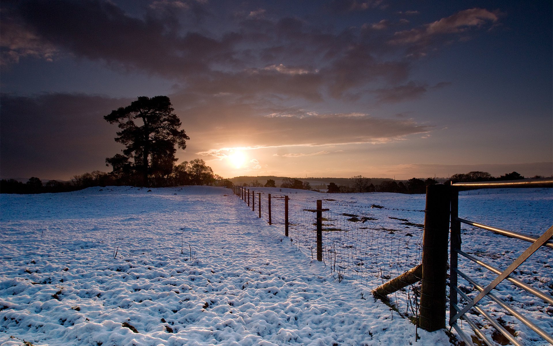 now the fence trees winter sunset