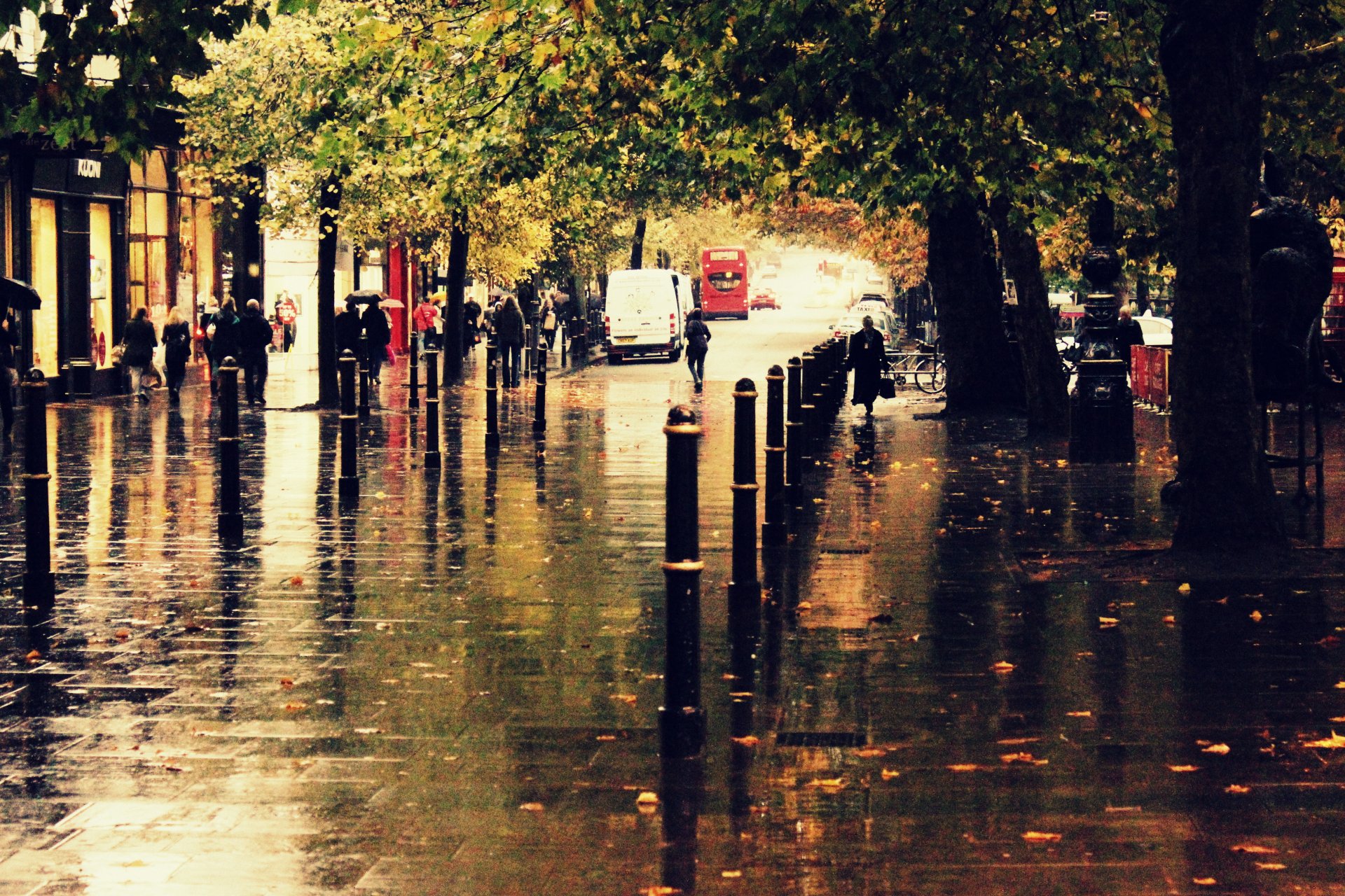 automne ville rue pluie