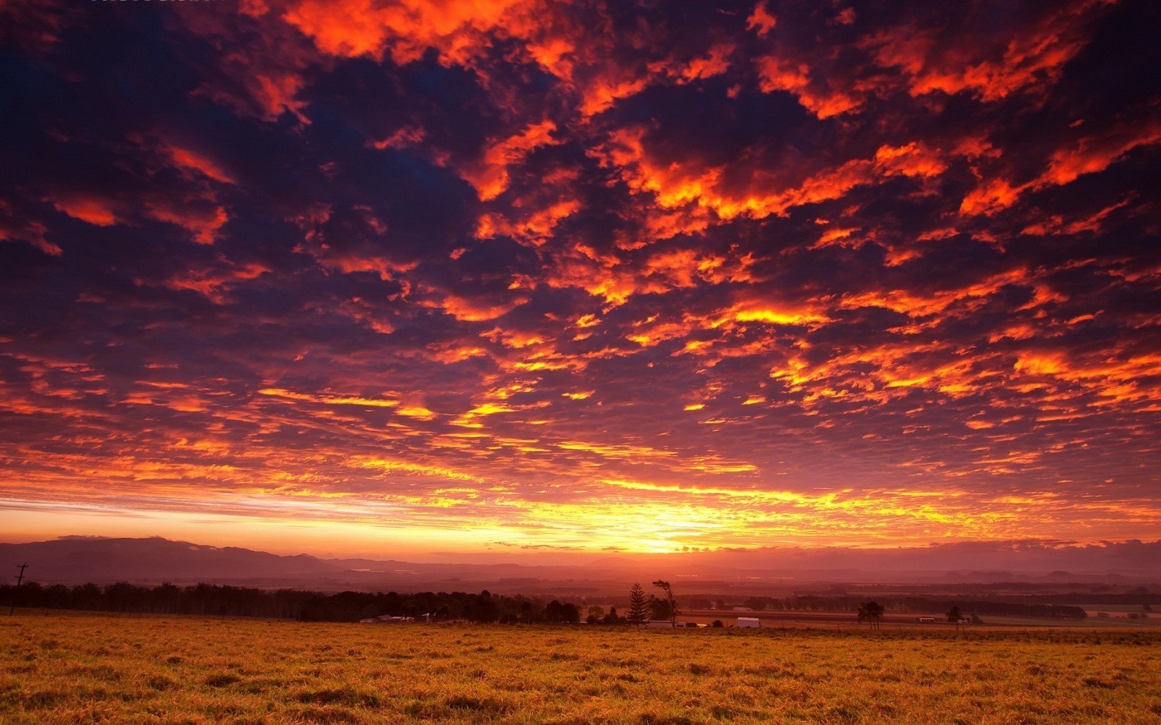 landschaft sonnenuntergang feld