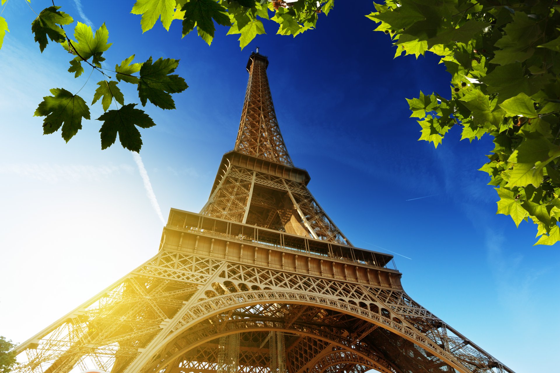 la tour eiffel torre eiffel parís francia cielo sol hojas verde arce