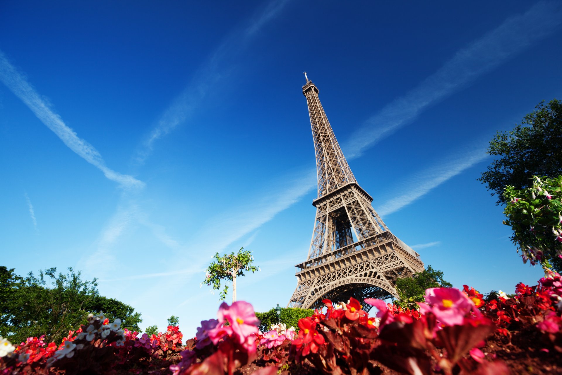 paris frankreich la tour eiffel eiffelturm blumen bäume himmel