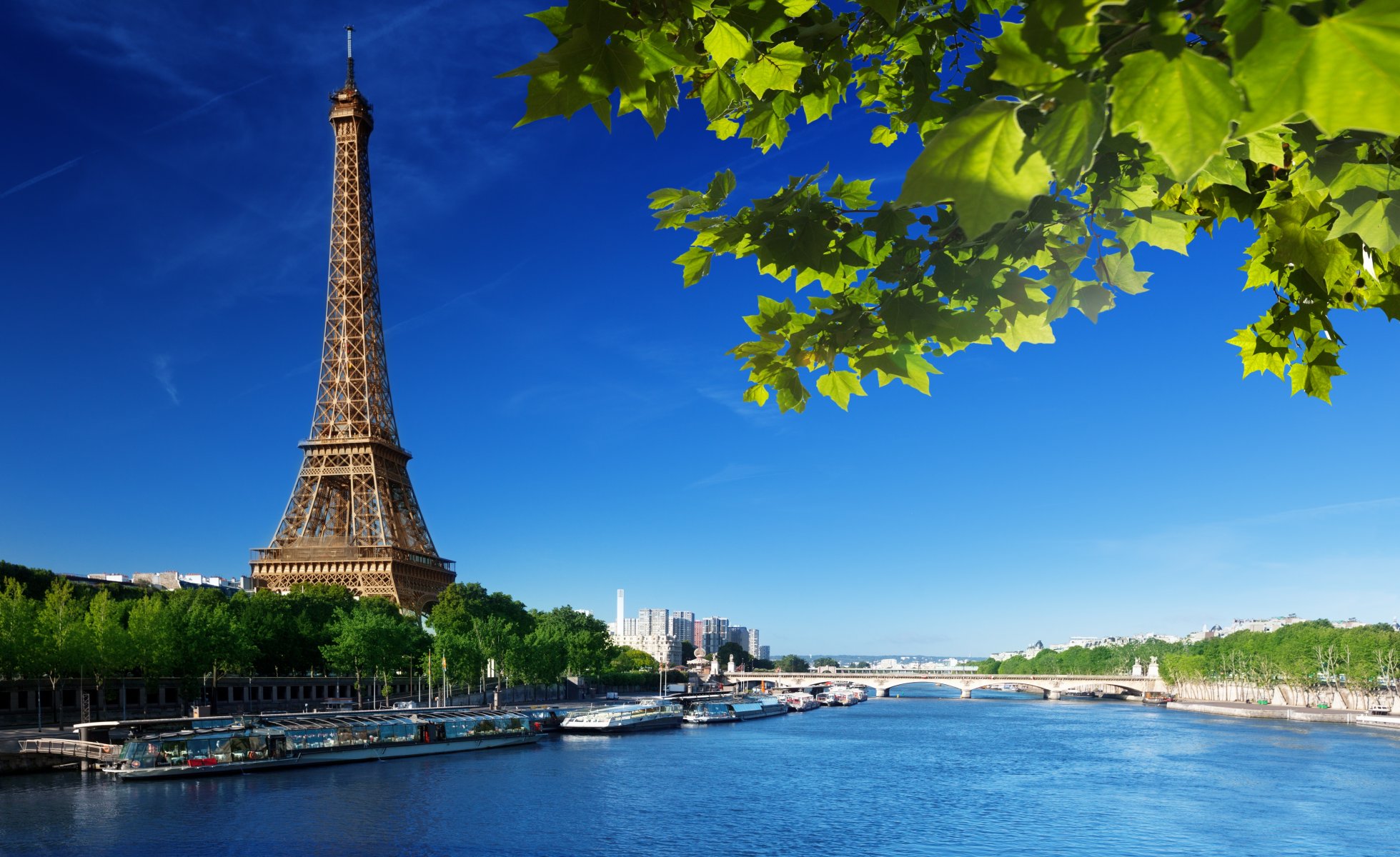 la tour eiffel paris frankreich eiffelturm himmel blätter grün sommer fluss seine brücke