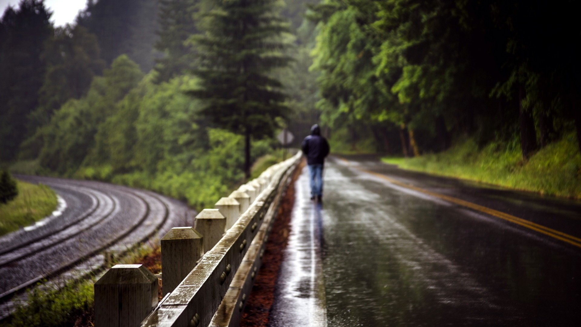 road the fence rain