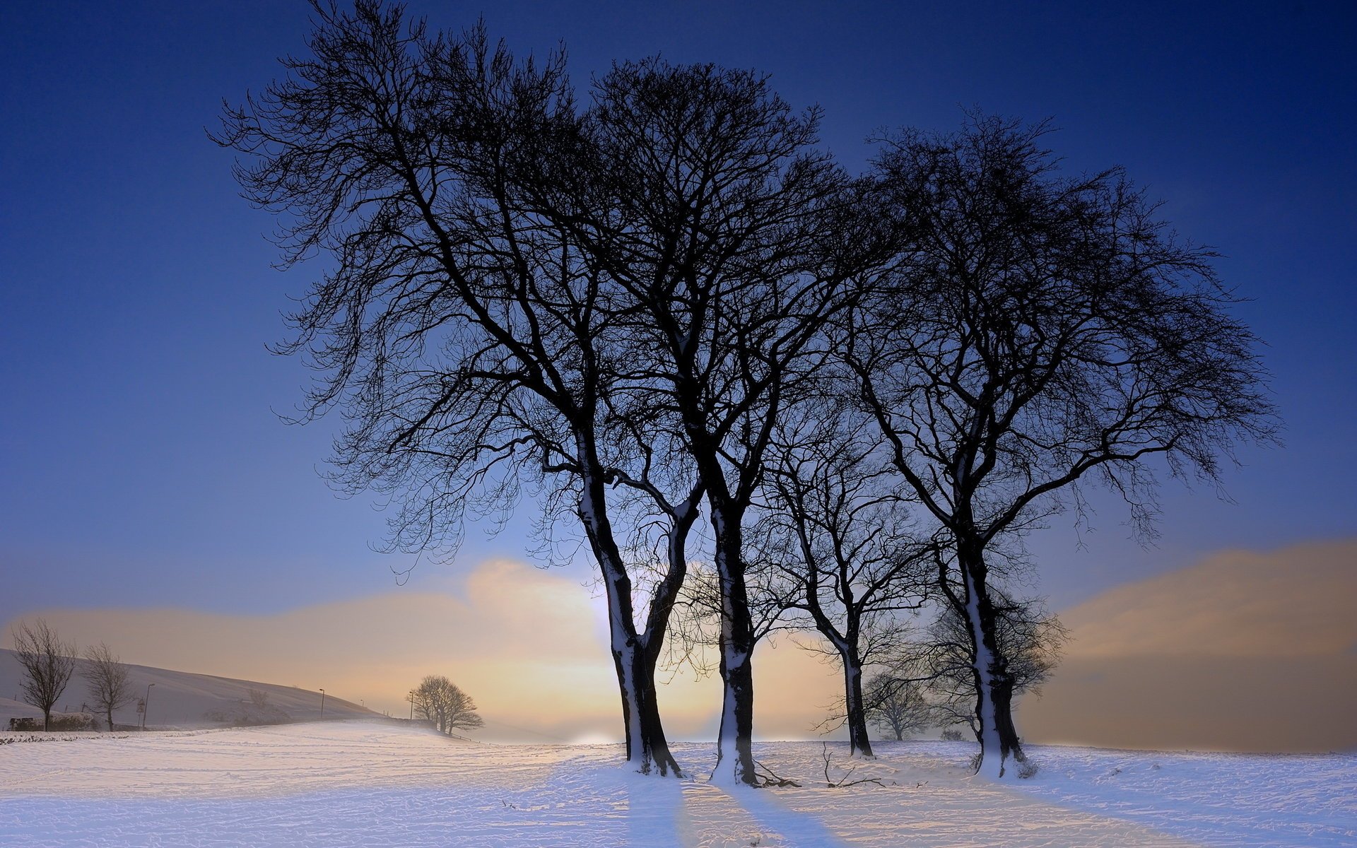 invierno paisaje árboles