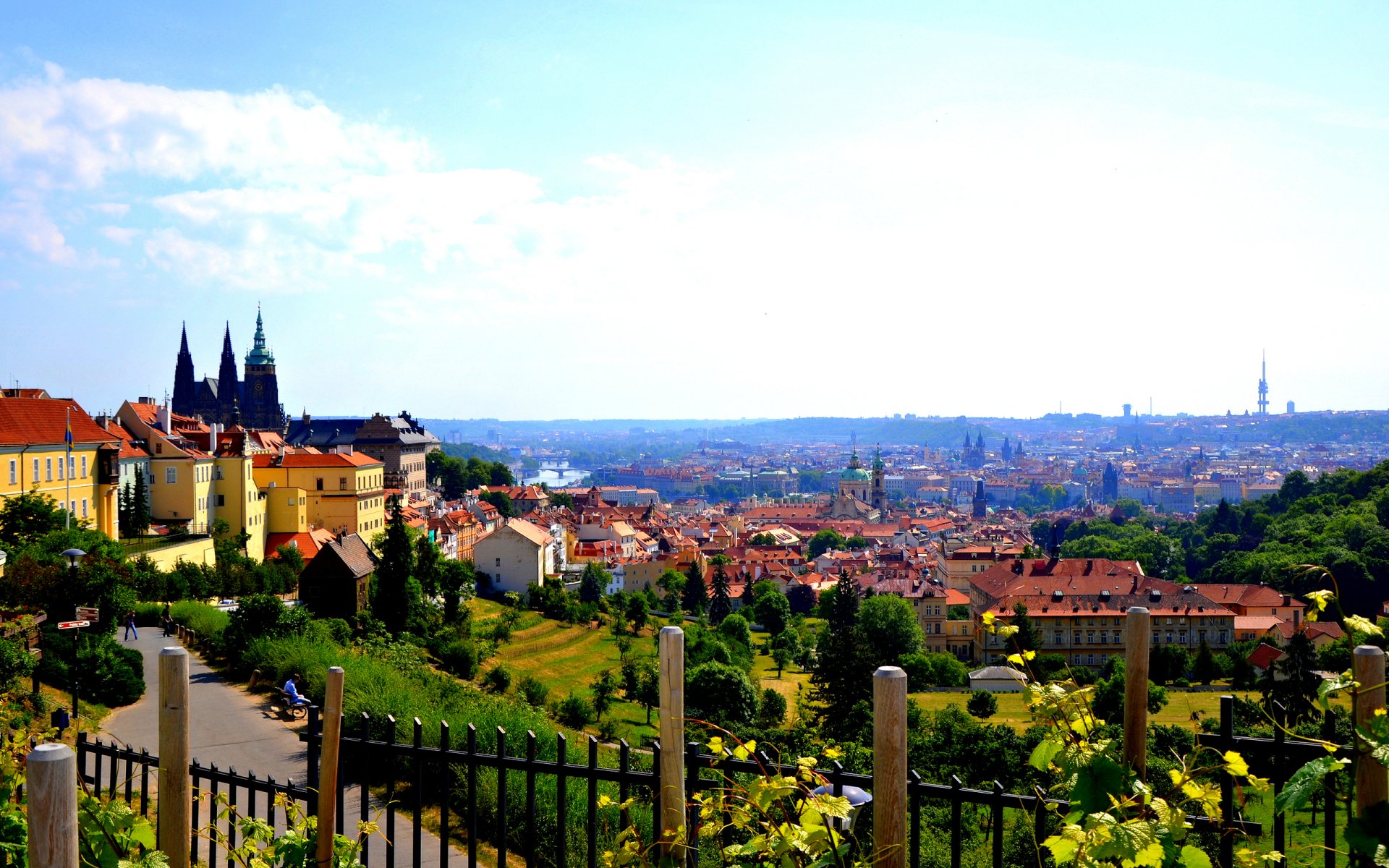 alt stadt tschechische republik prag prag panorama architektur kirche häuser fluss brücke sommer landschaft natur bäume