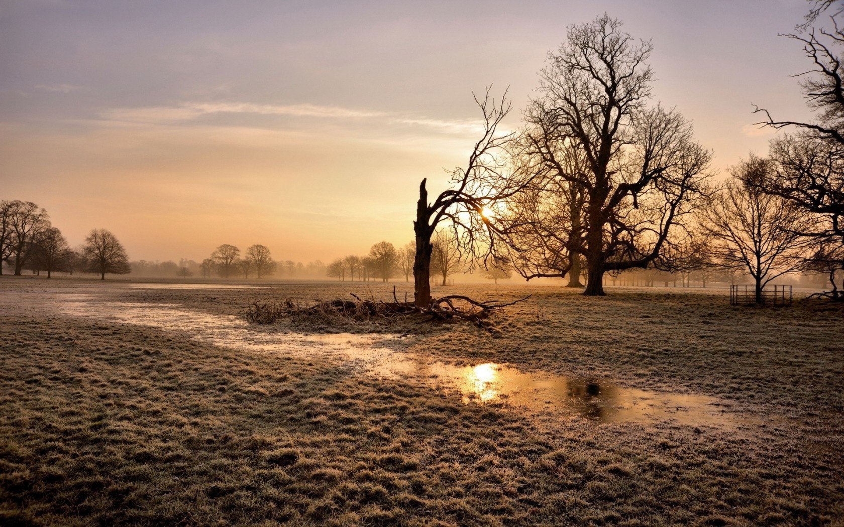 nature paysage coucher de soleil champ