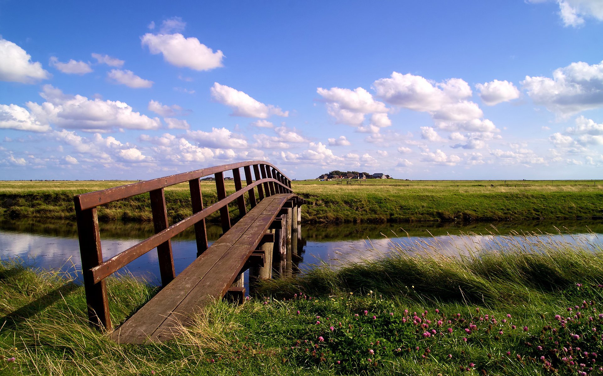 puente flores hierbas nubes cielo arroyo cuerpo de agua