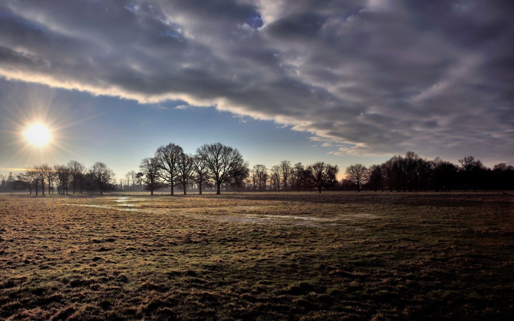 feld landschaft natur