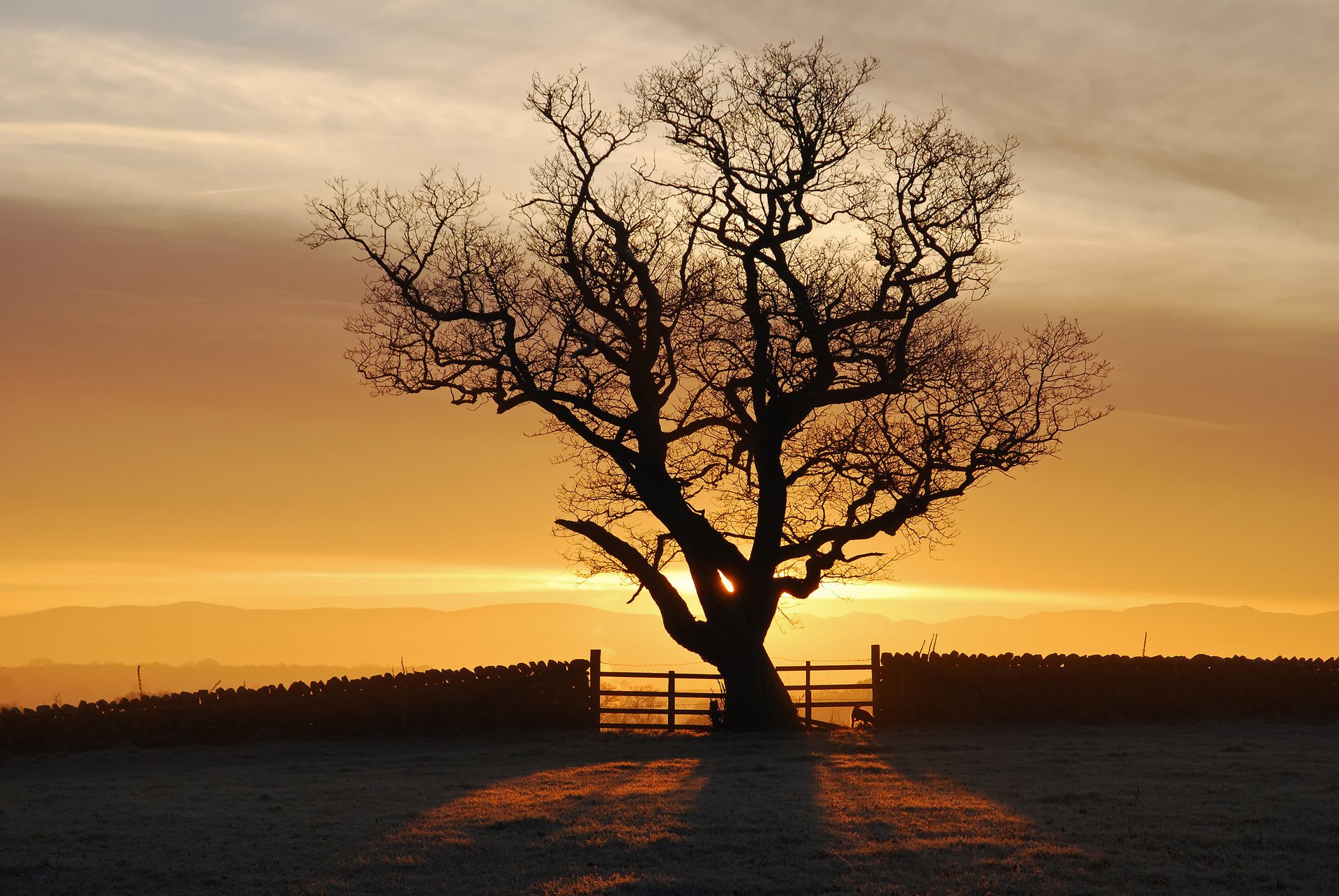 eden valley sonnenuntergang baum sonne england