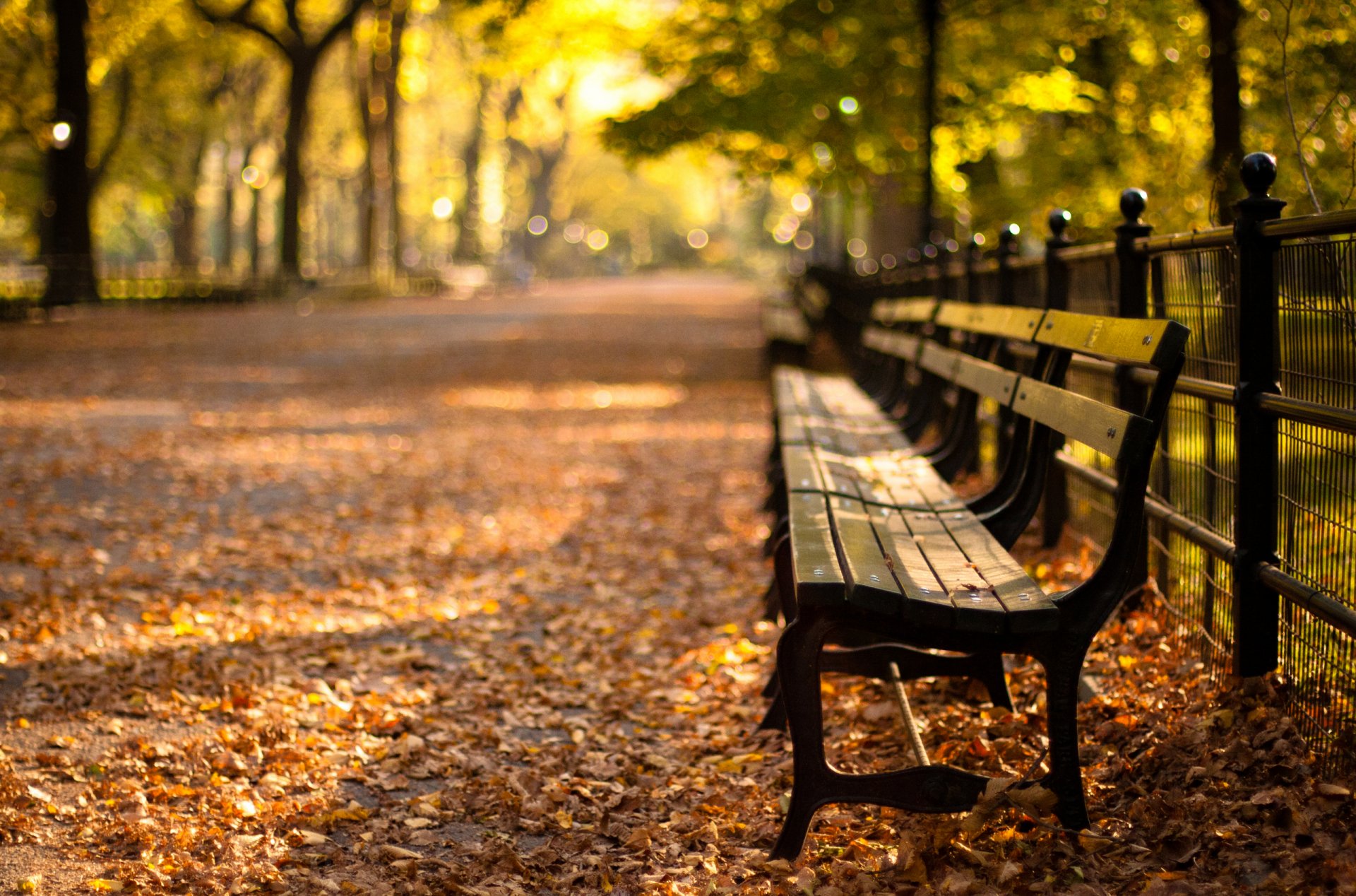 central park new york automne coucher de soleil parc