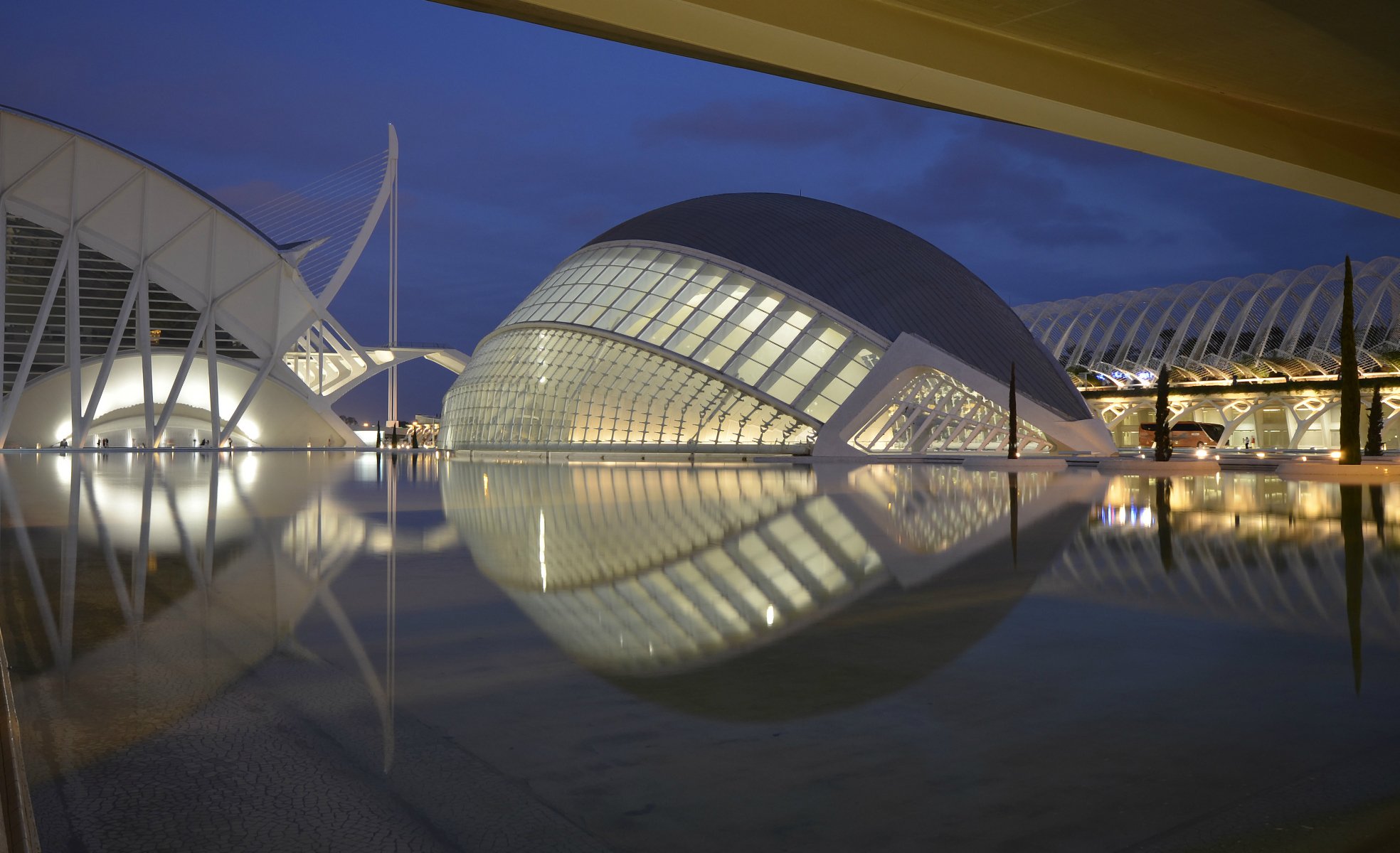 spanien valencia stadt der künste und wissenschaften architektonischer komplex beleuchtung bäume nacht blau himmel