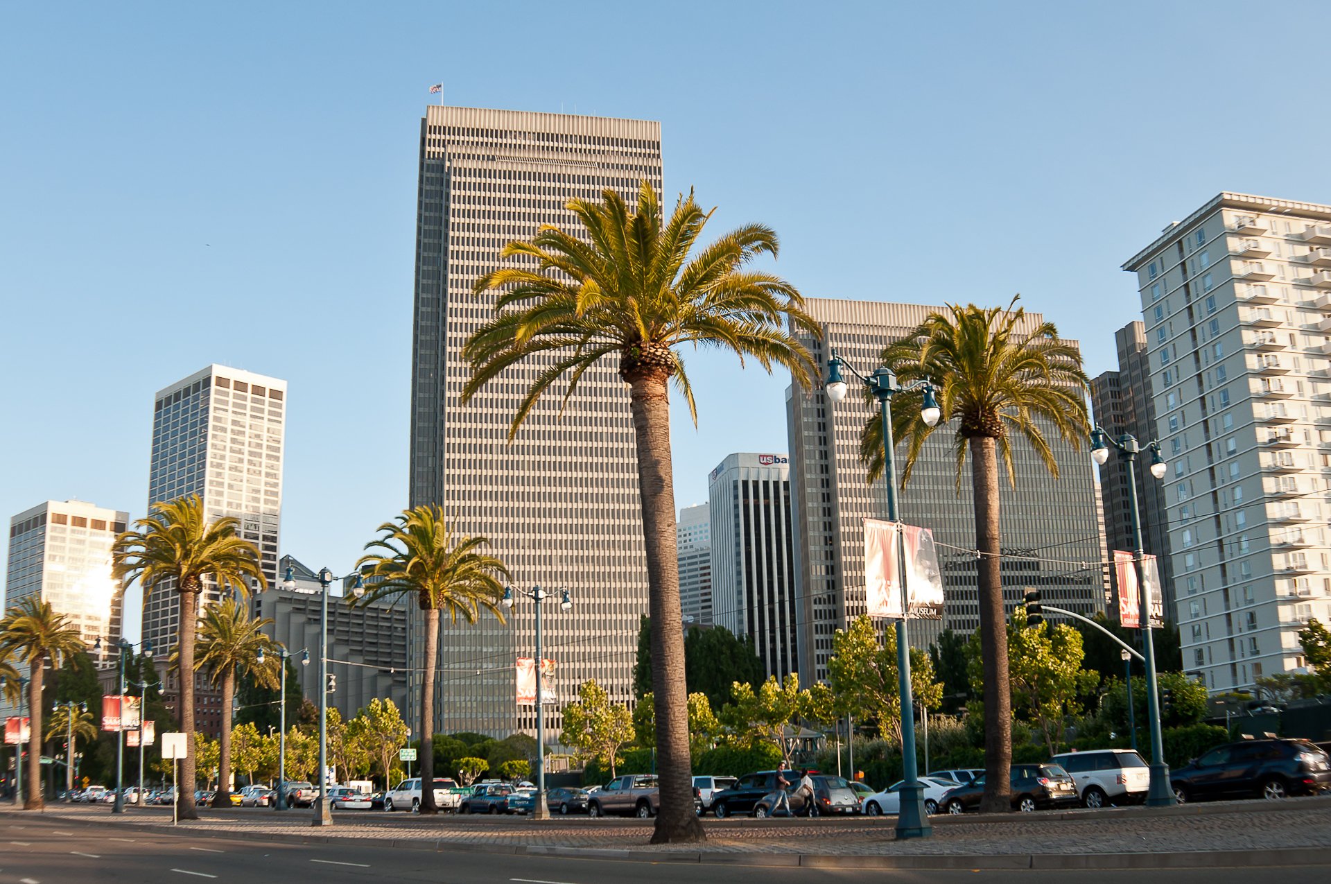 an francisco palm trees sky usa america