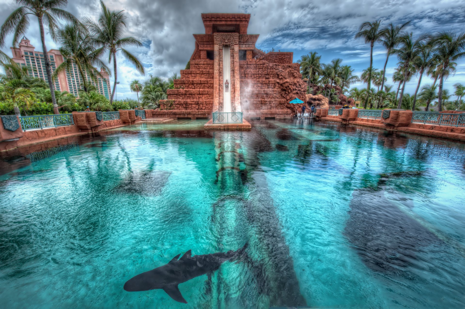 nassau bahamas hotel atlantis palme piscina squalo