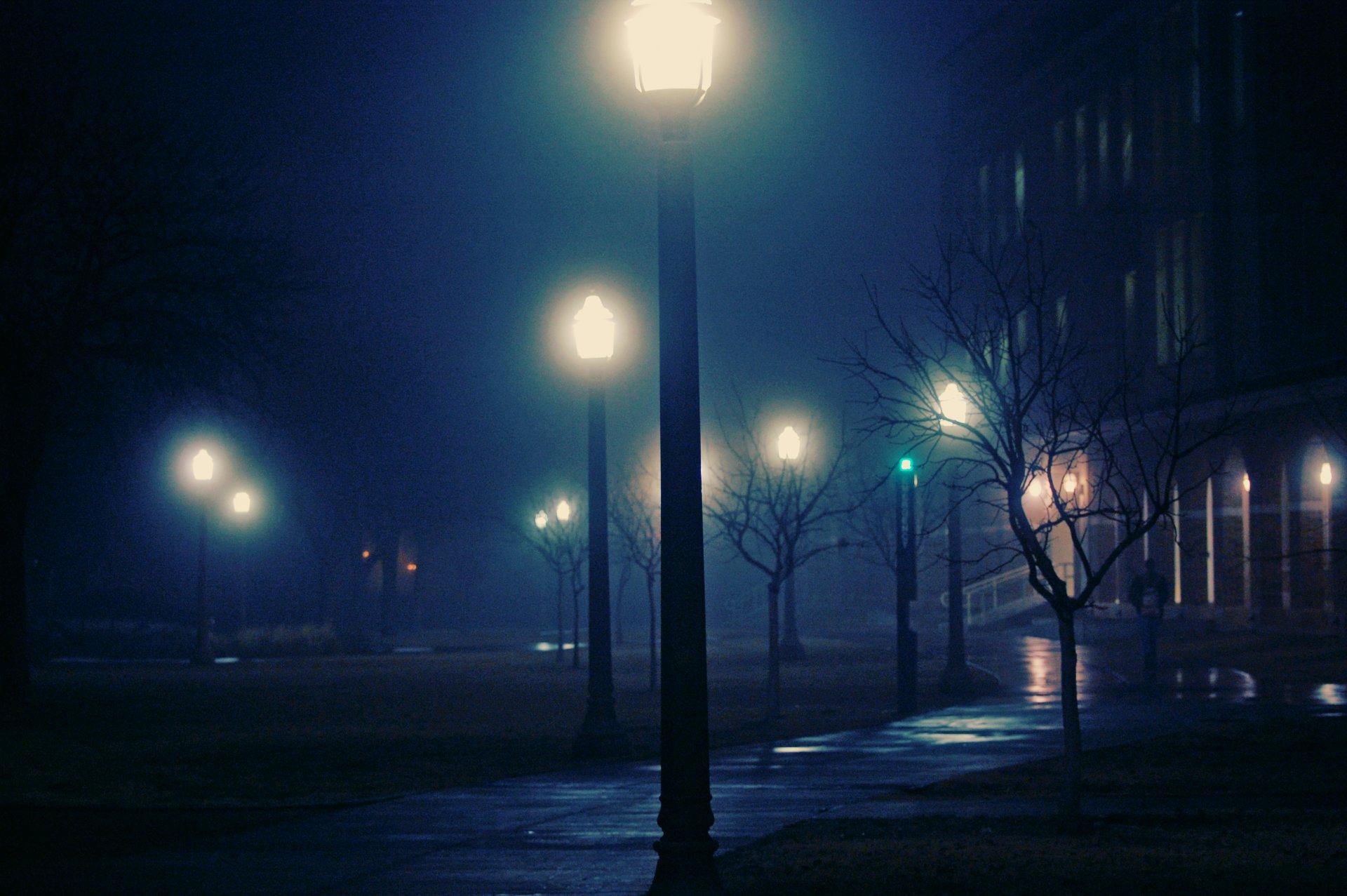 stadt nacht nebel lichter neblig