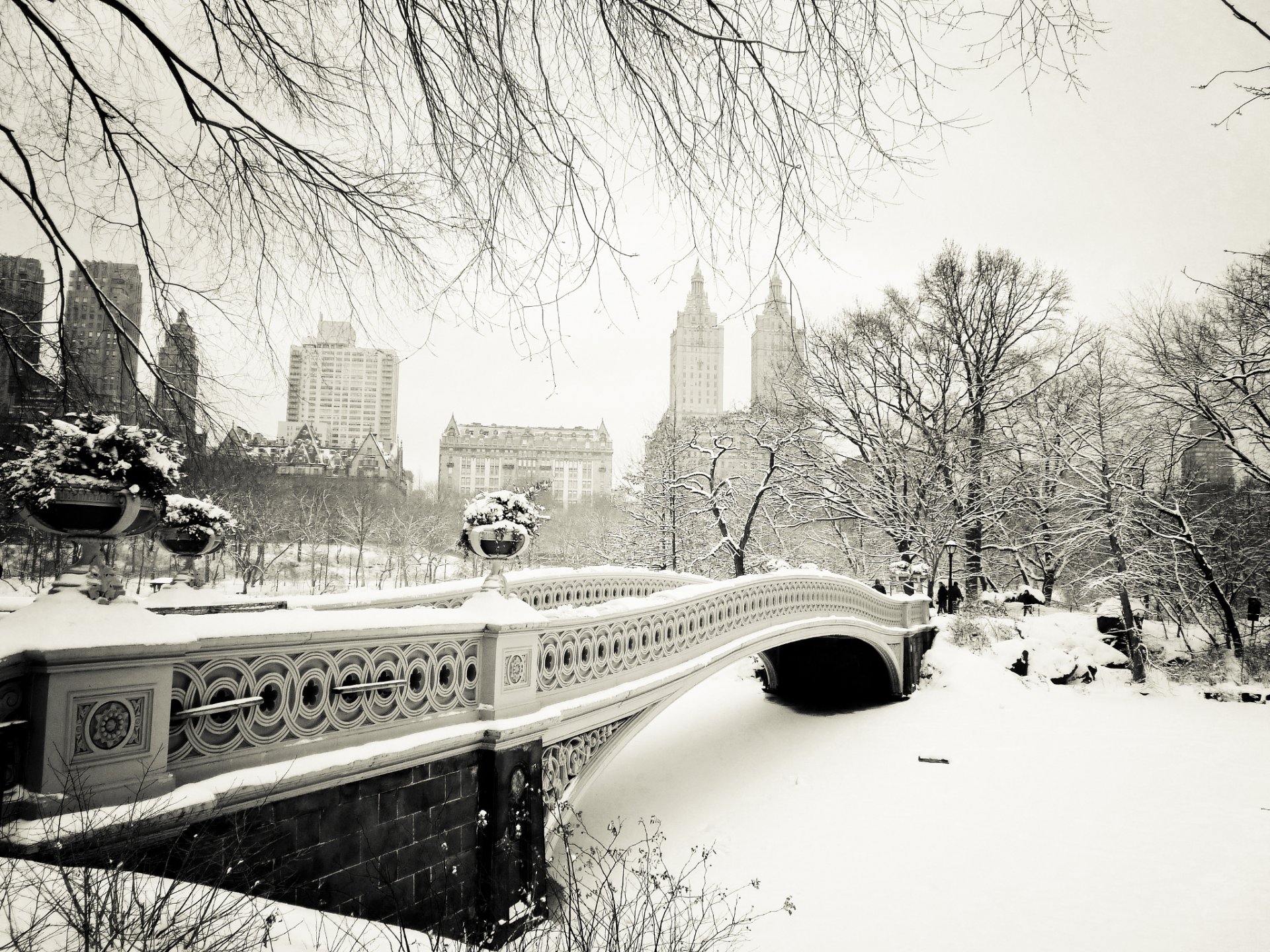 new york états-unis manhattan central park pont d arc ville hiver neige nature arbres