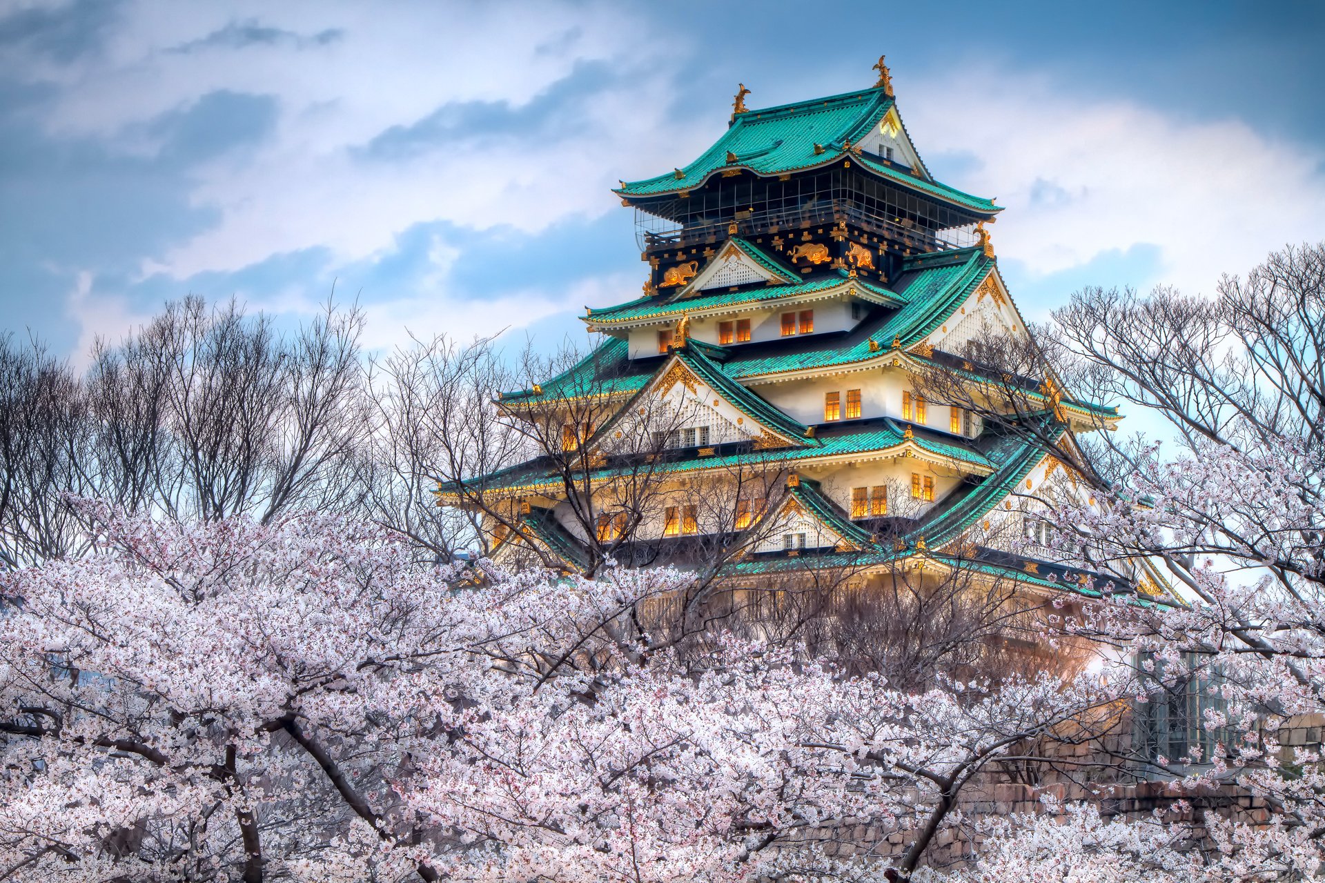 città giappone tempio cielo primavera sakura colore