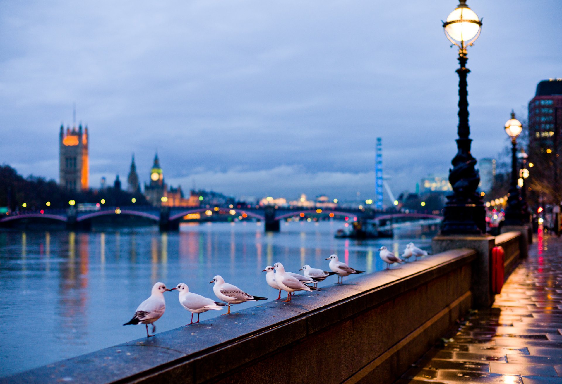 miasto londyn anglia ulica rzeka mewy lampy światło bokeh