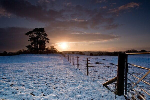 Puesta de sol Nevada de un campo ilimitado